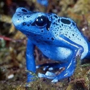 Meet your Posher, Deborah